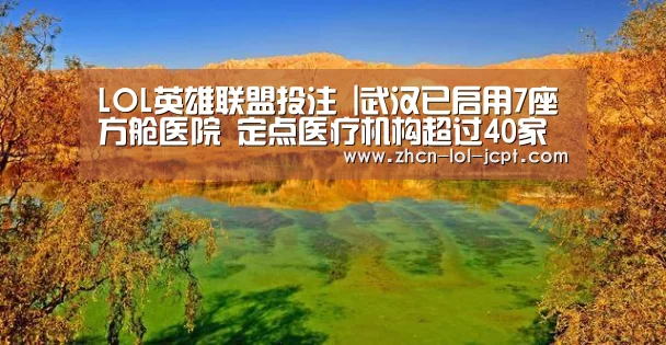 LOL英雄联盟投注 